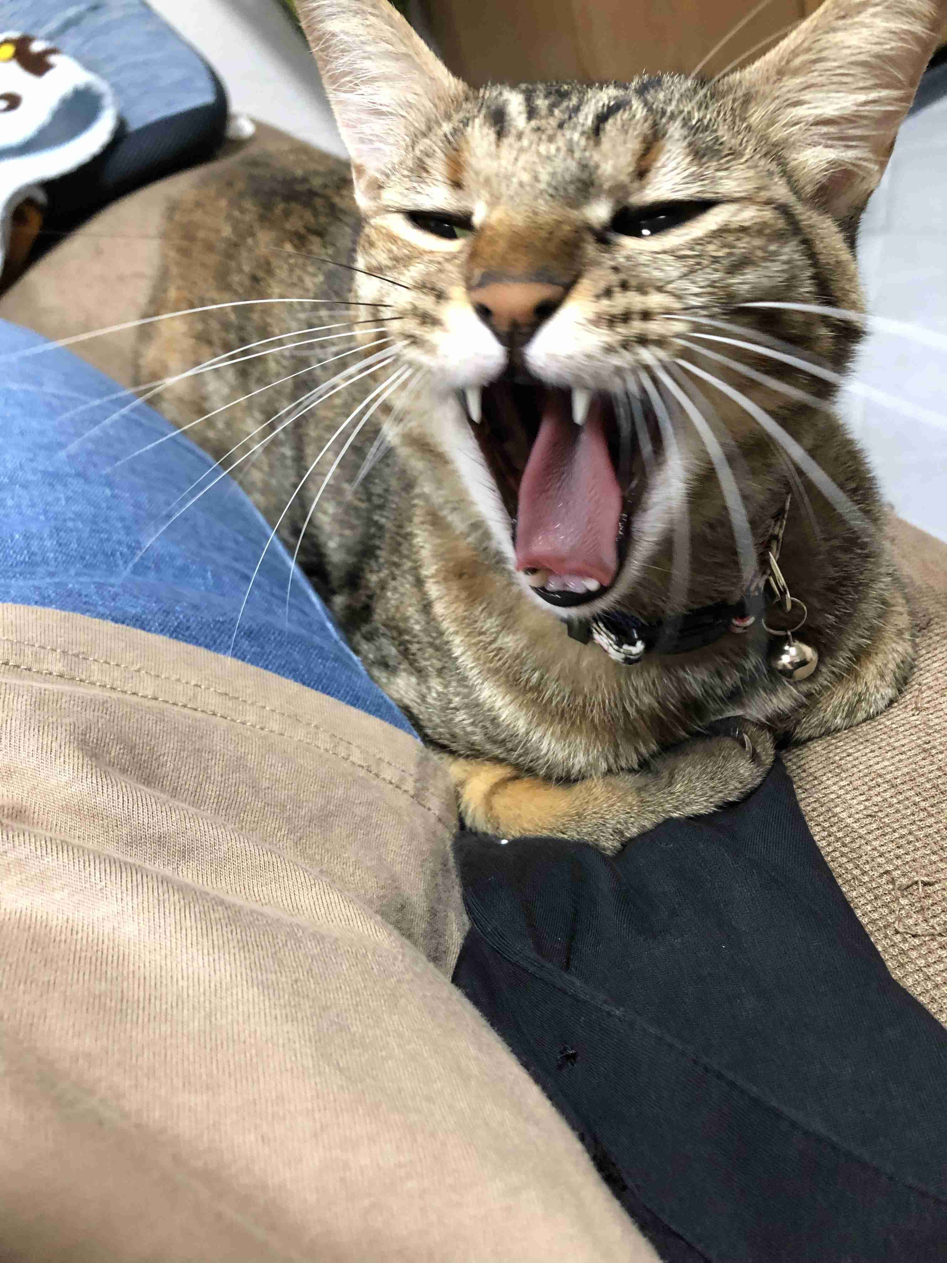 撮ったはいいけど誰にも見せられない写真を供養するトピ