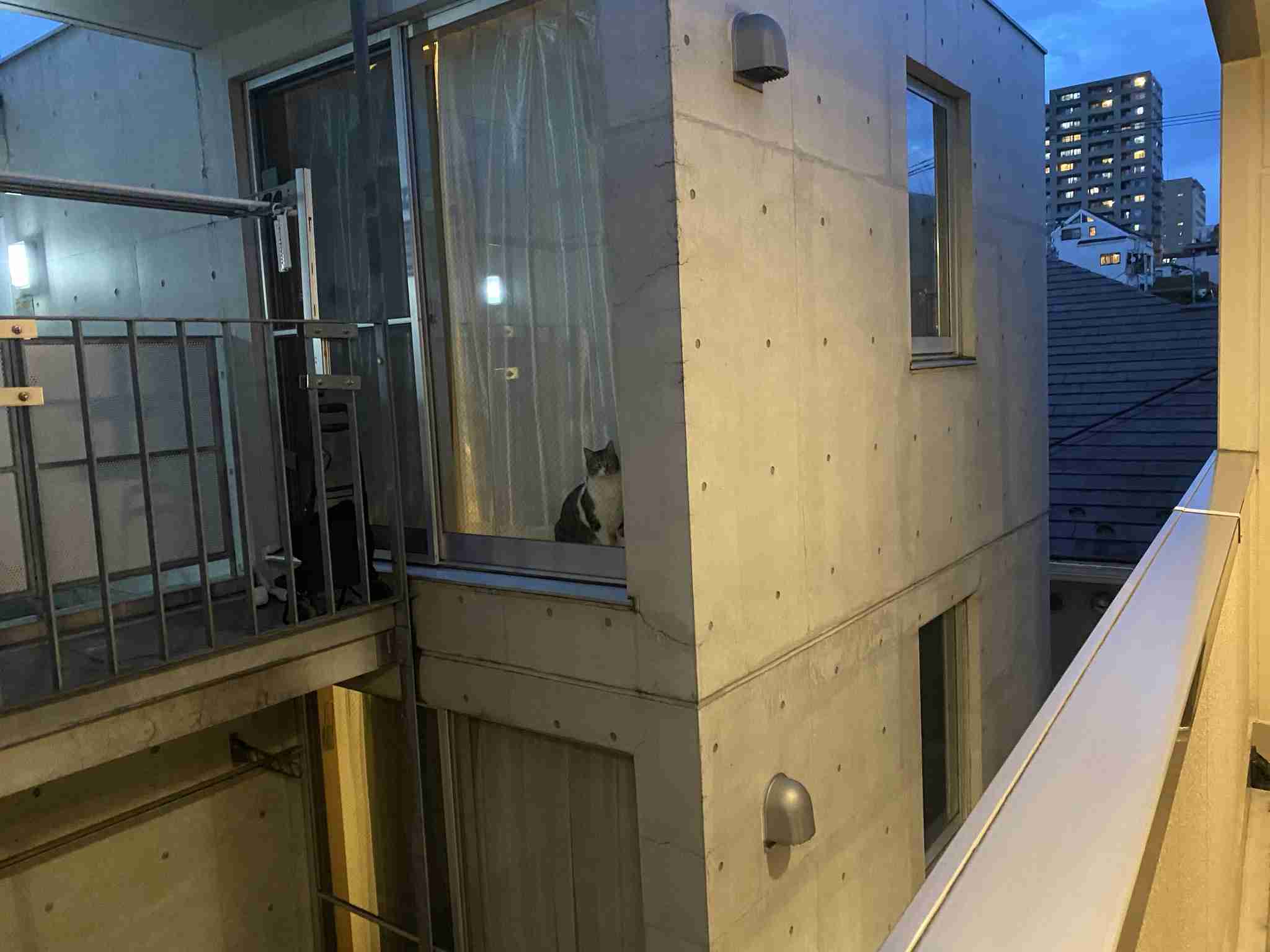 撮ったはいいけど誰にも見せられない写真を供養するトピ