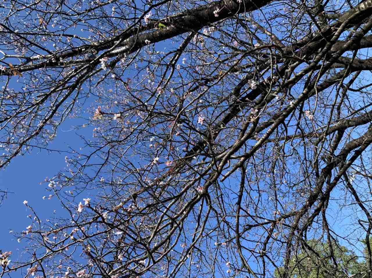 撮ったはいいけど誰にも見せられない写真を供養するトピ