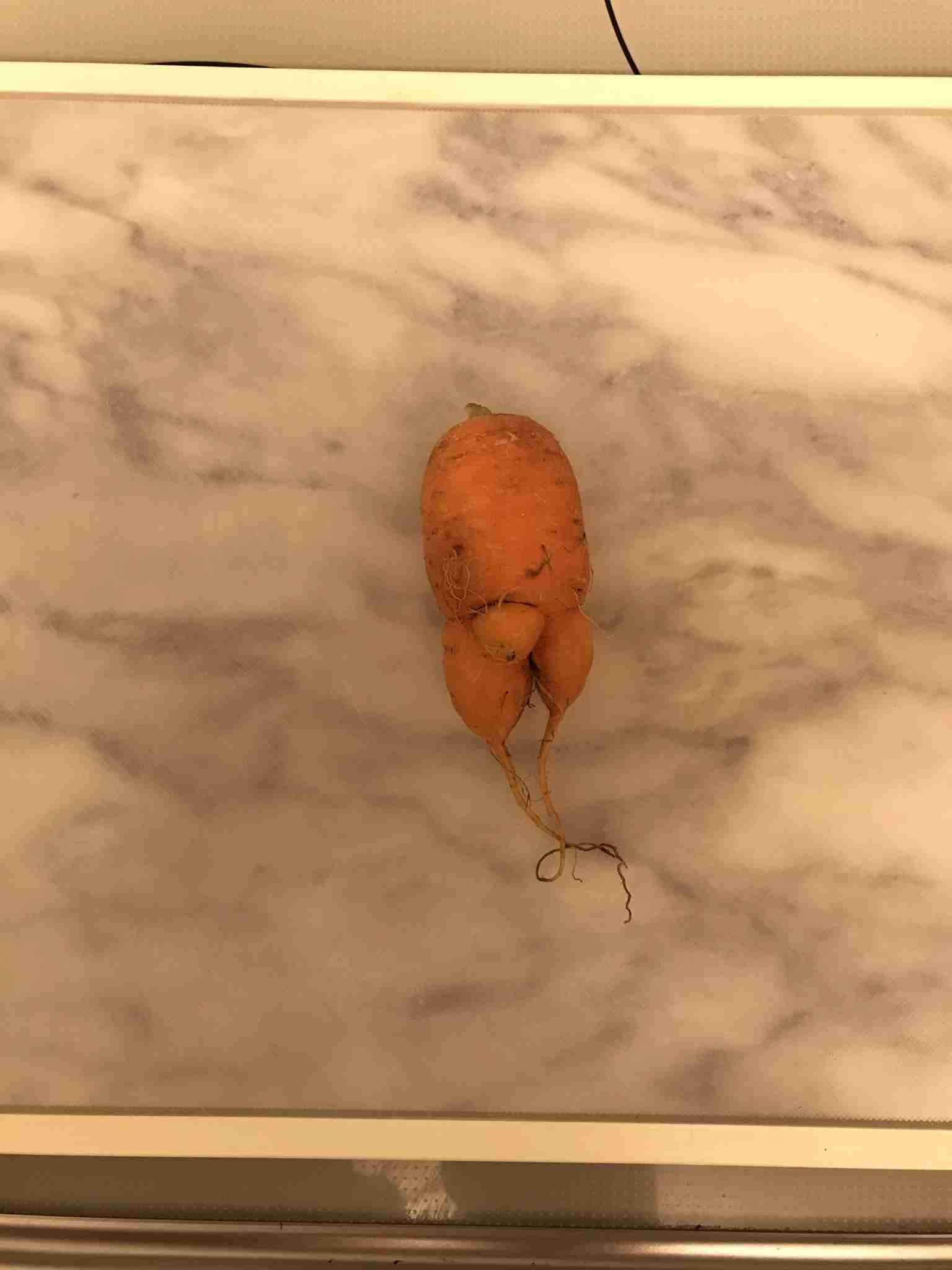 撮ったはいいけど誰にも見せられない写真を供養するトピ