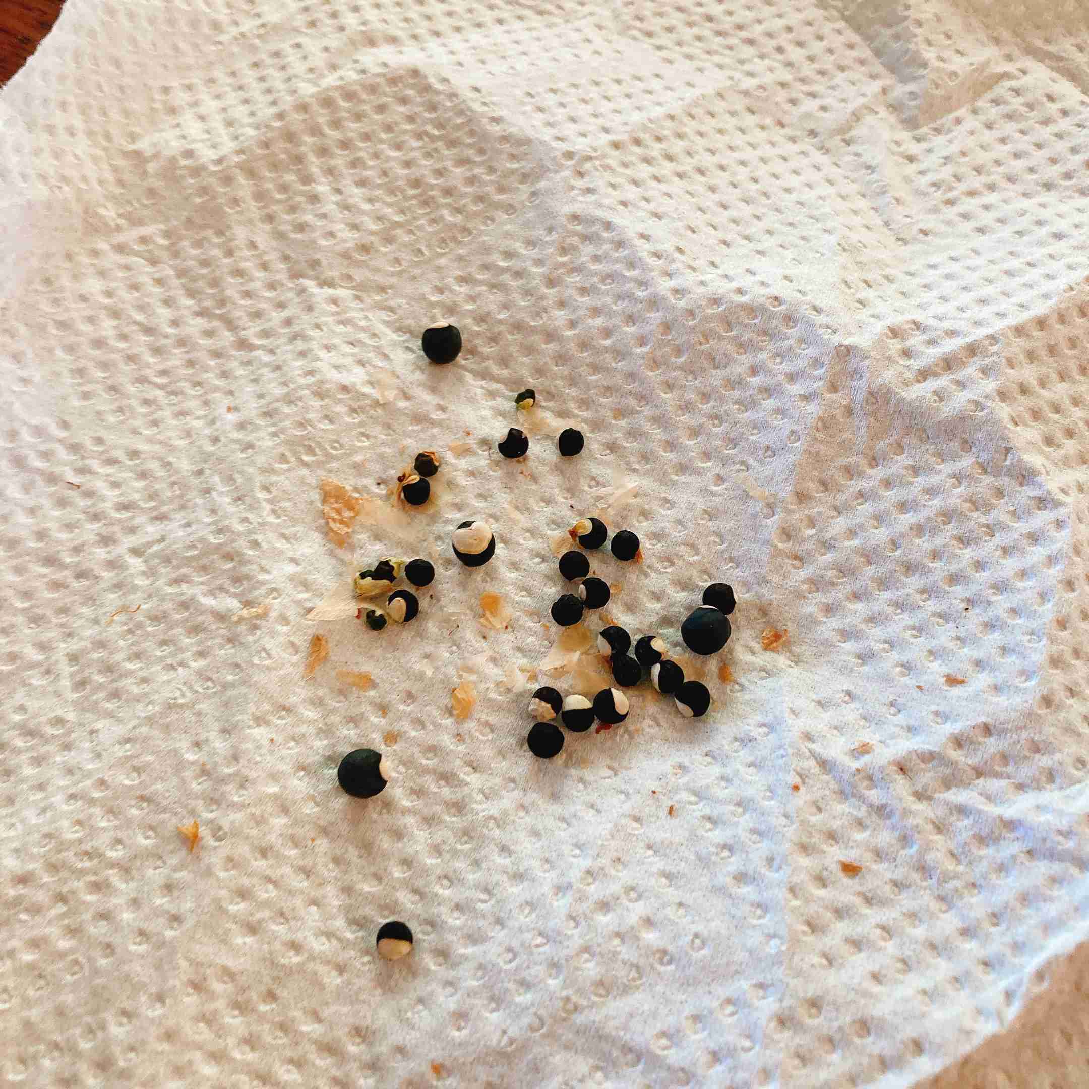 撮ったはいいけど誰にも見せられない写真を供養するトピ