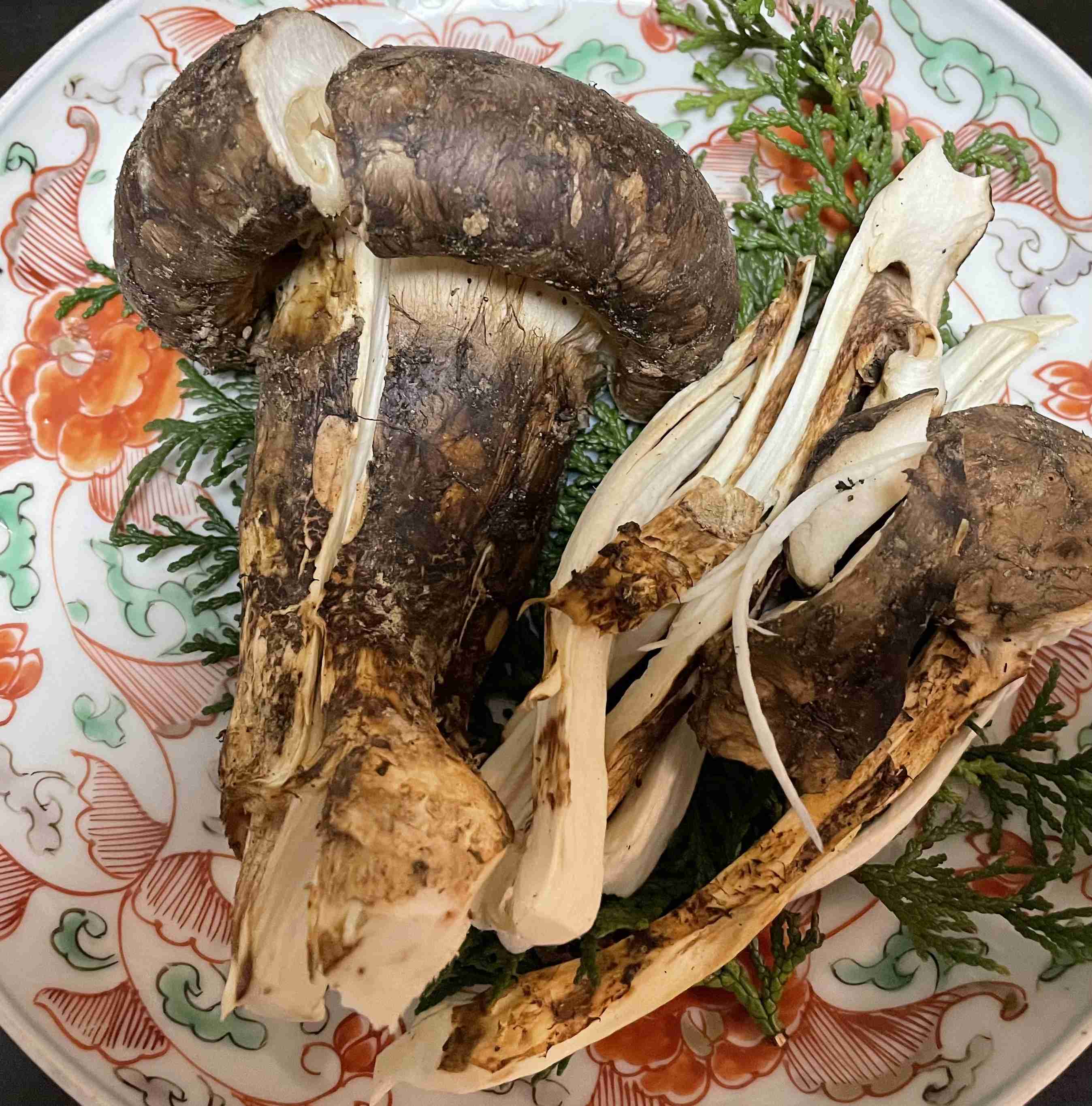 撮ったはいいけど誰にも見せられない写真を供養するトピ