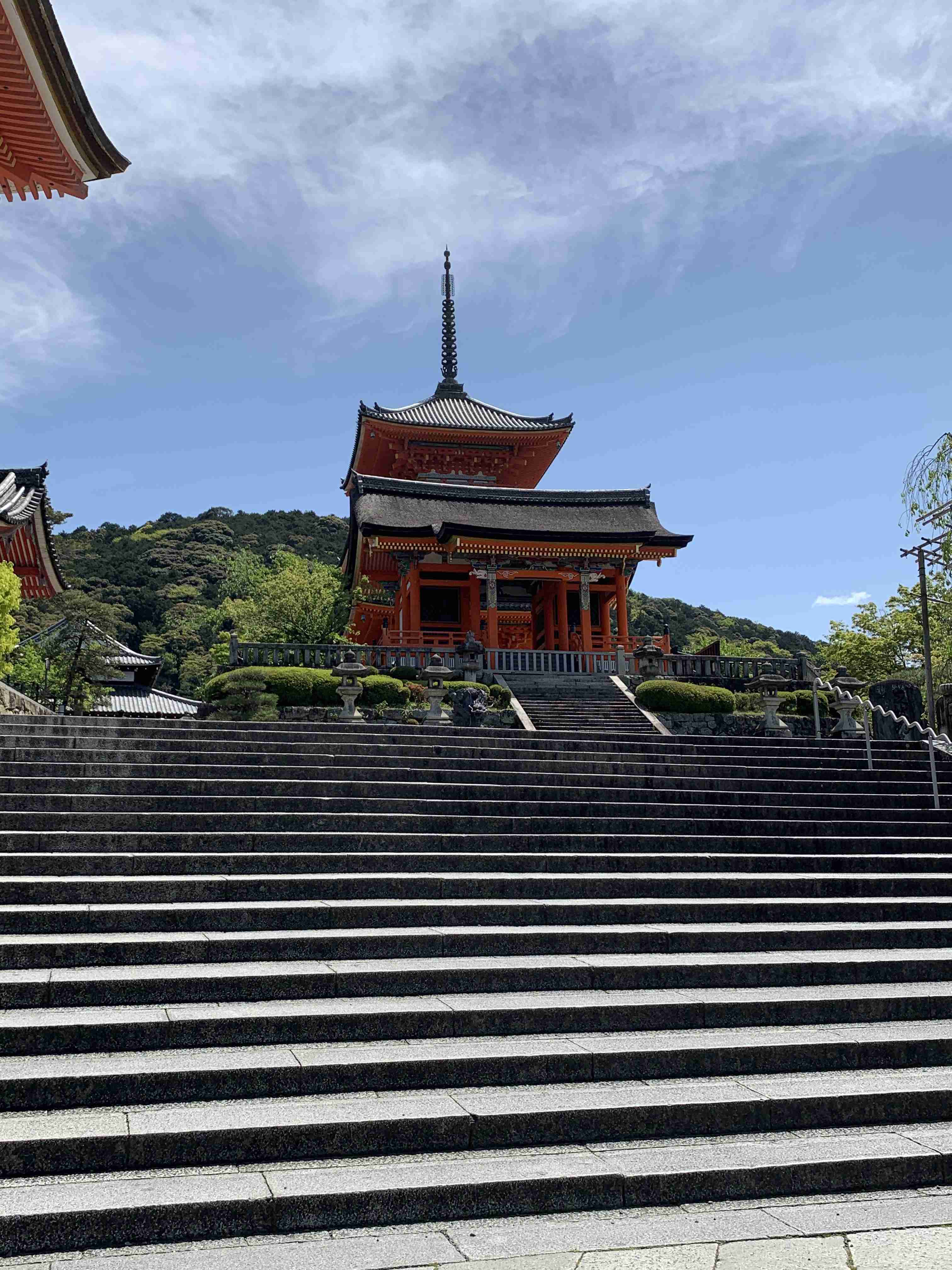 撮ったはいいけど誰にも見せられない写真を供養するトピ