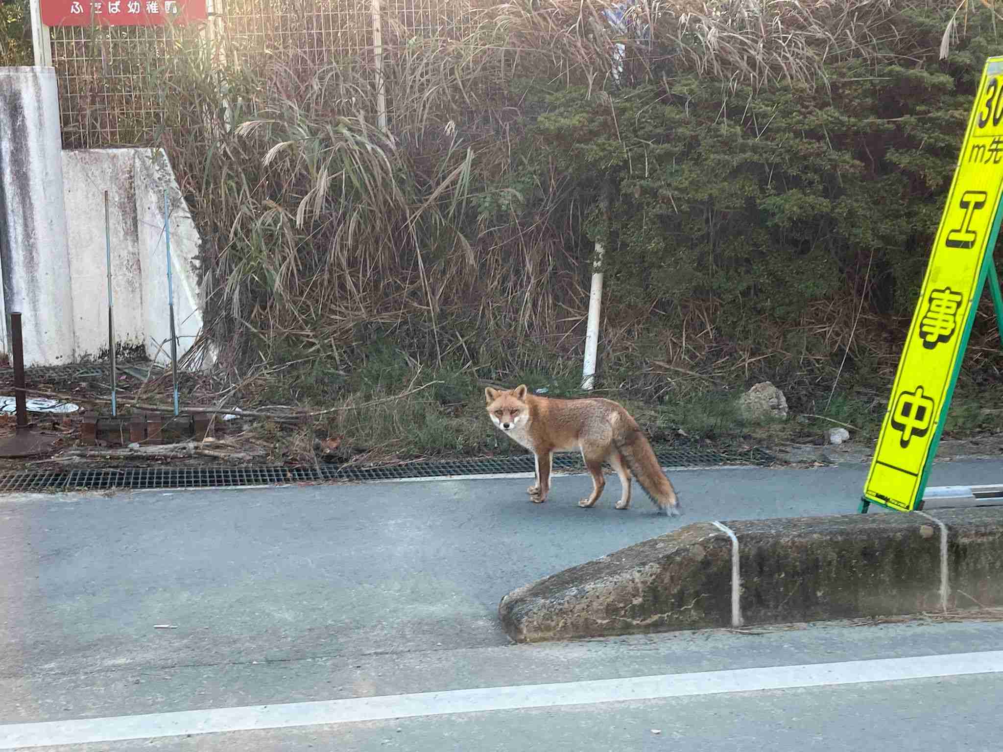 撮ったはいいけど誰にも見せられない写真を供養するトピ
