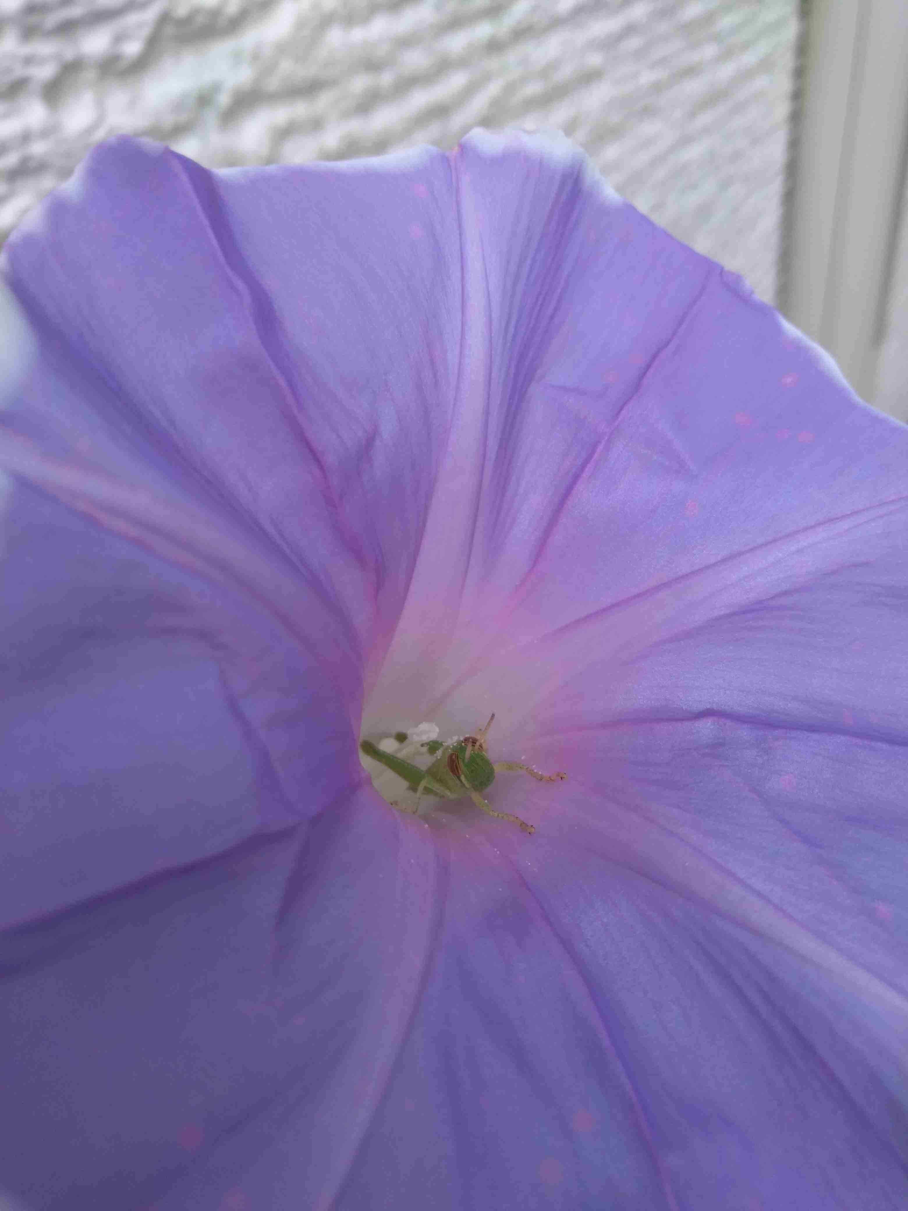 撮ったはいいけど誰にも見せられない写真を供養するトピ