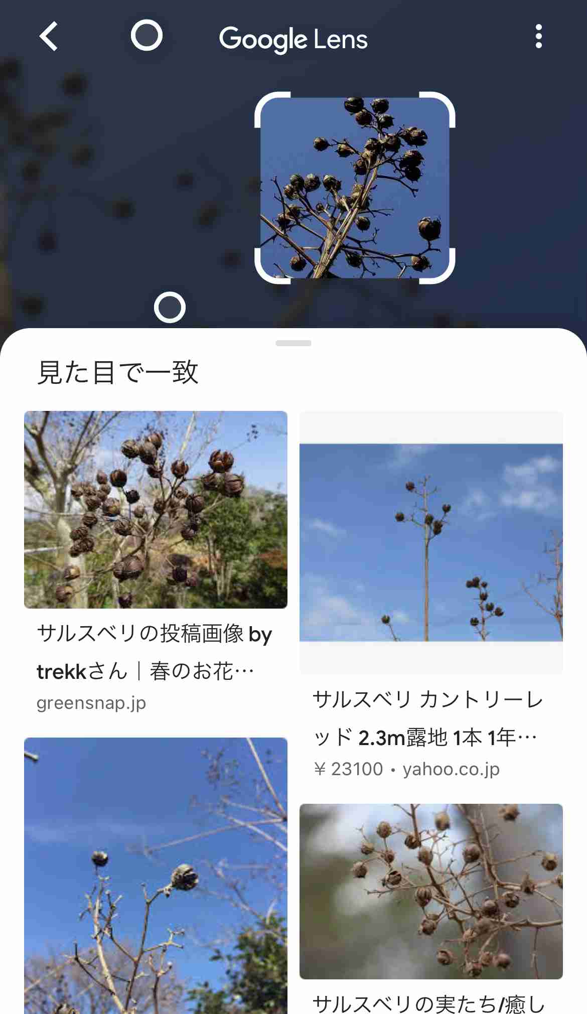 撮ったはいいけど誰にも見せられない写真を供養するトピ