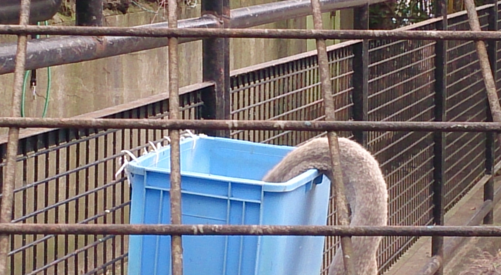 撮ったはいいけど誰にも見せられない写真を供養するトピ