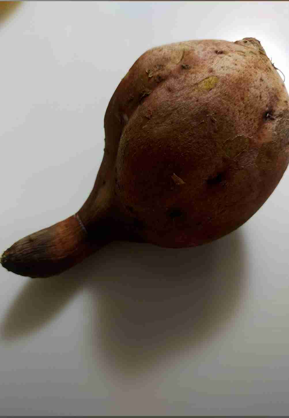 撮ったはいいけど誰にも見せられない写真を供養するトピ