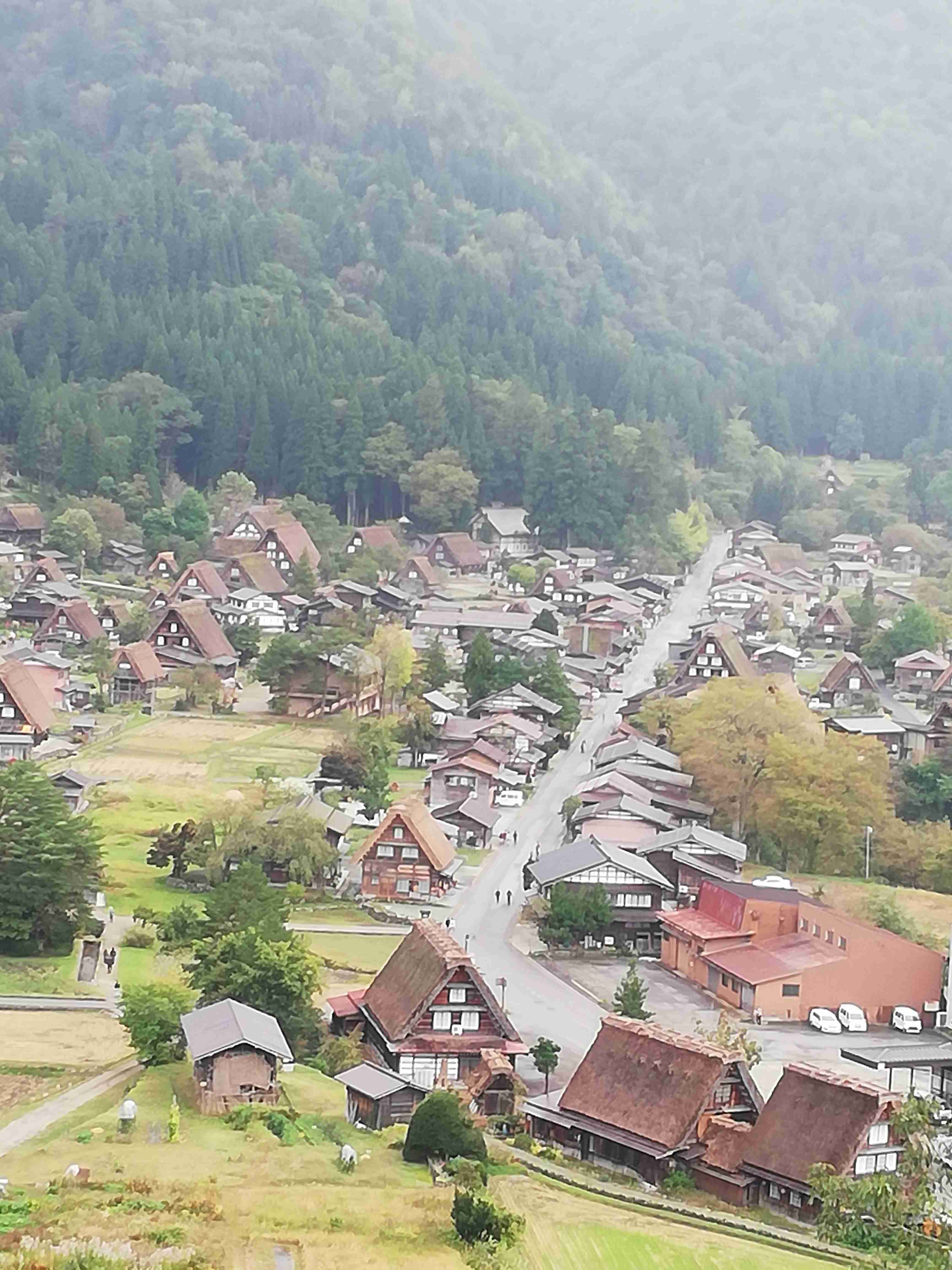 撮ったはいいけど誰にも見せられない写真を供養するトピ