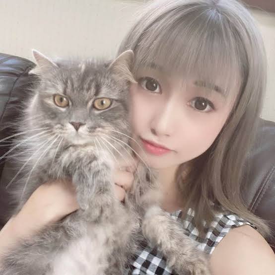 コミュ力の高い人にしか出来ない仕事