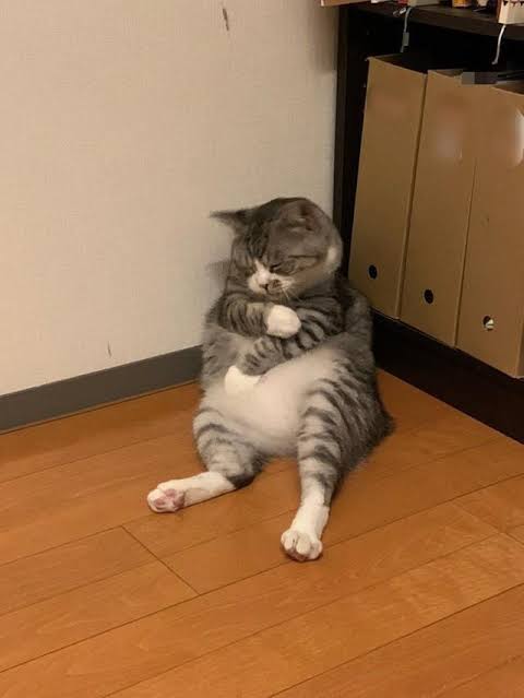 これからワクチン打つ人同士で励まし合うトピ Part3