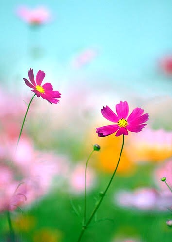 嫌なことを考えない方法☆