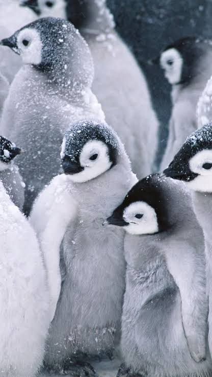 人より異常に寒がりな人