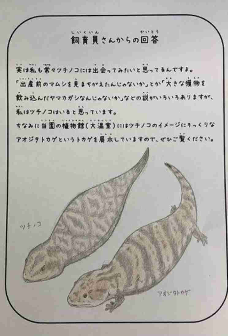 信じてよ‼︎本当なんだよ‼︎エピソード　パート5‼︎
