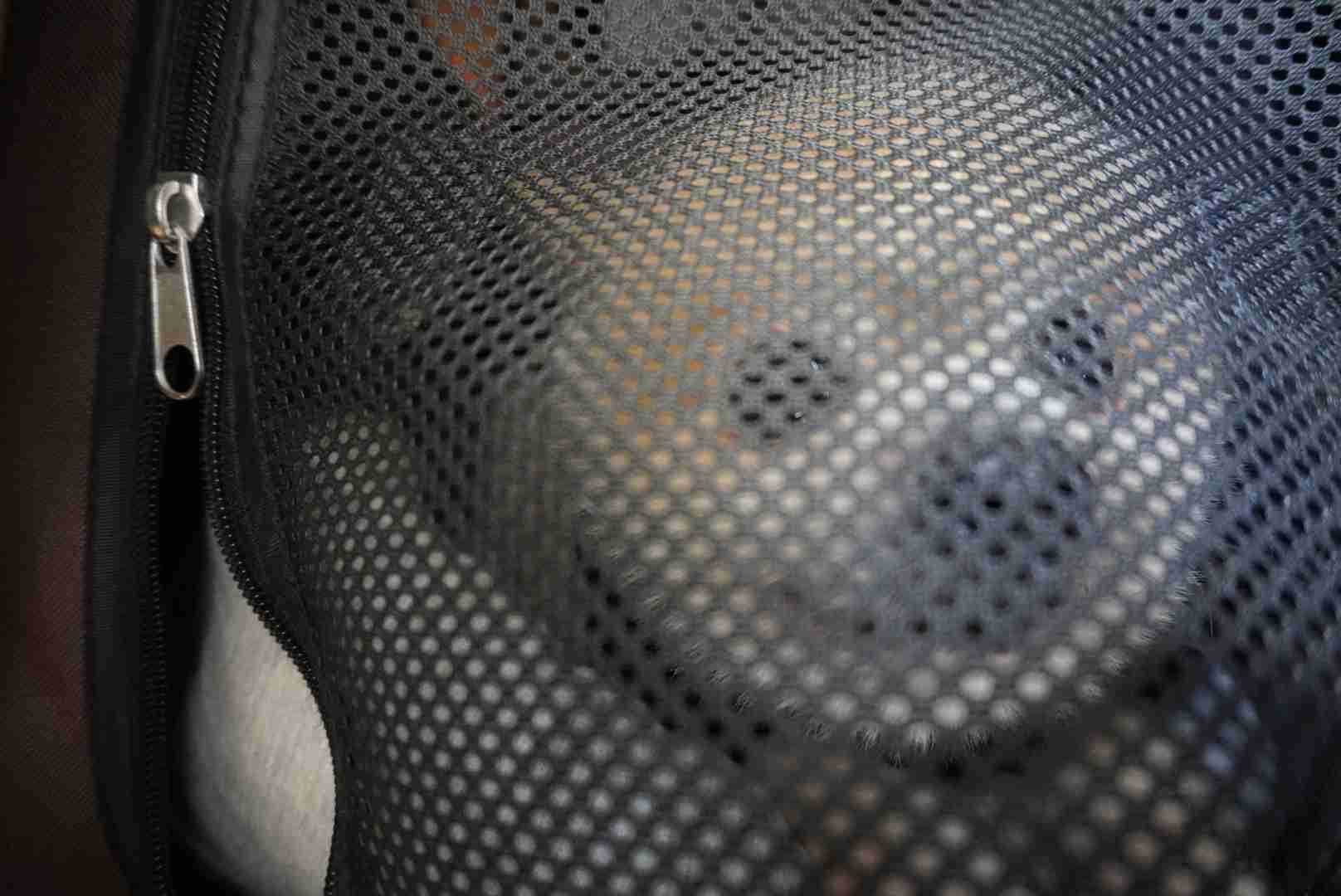 身バレしない程度にみんなのお家のペット(種類は何でもOK)が集まるトピ