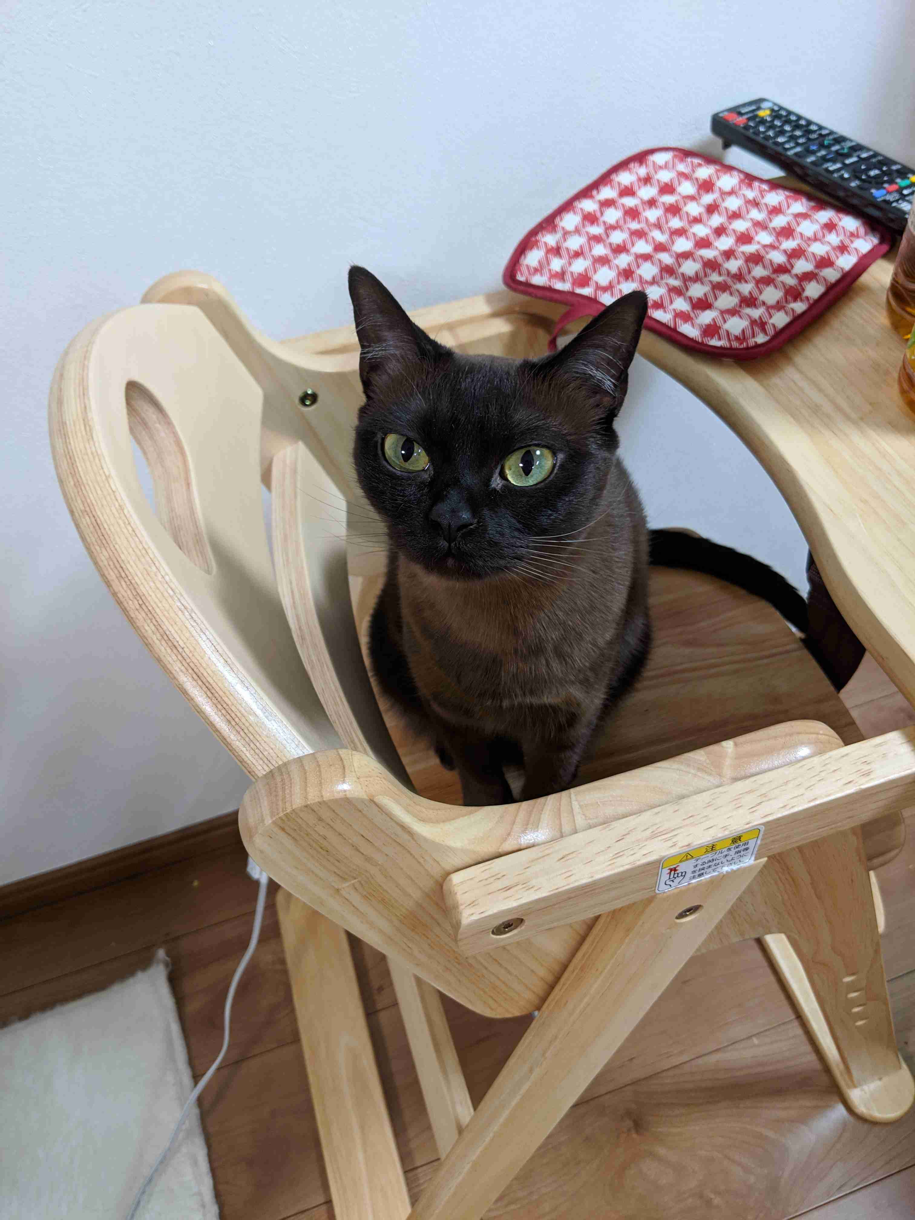 身バレしない程度にみんなのお家のペット(種類は何でもOK)が集まるトピ