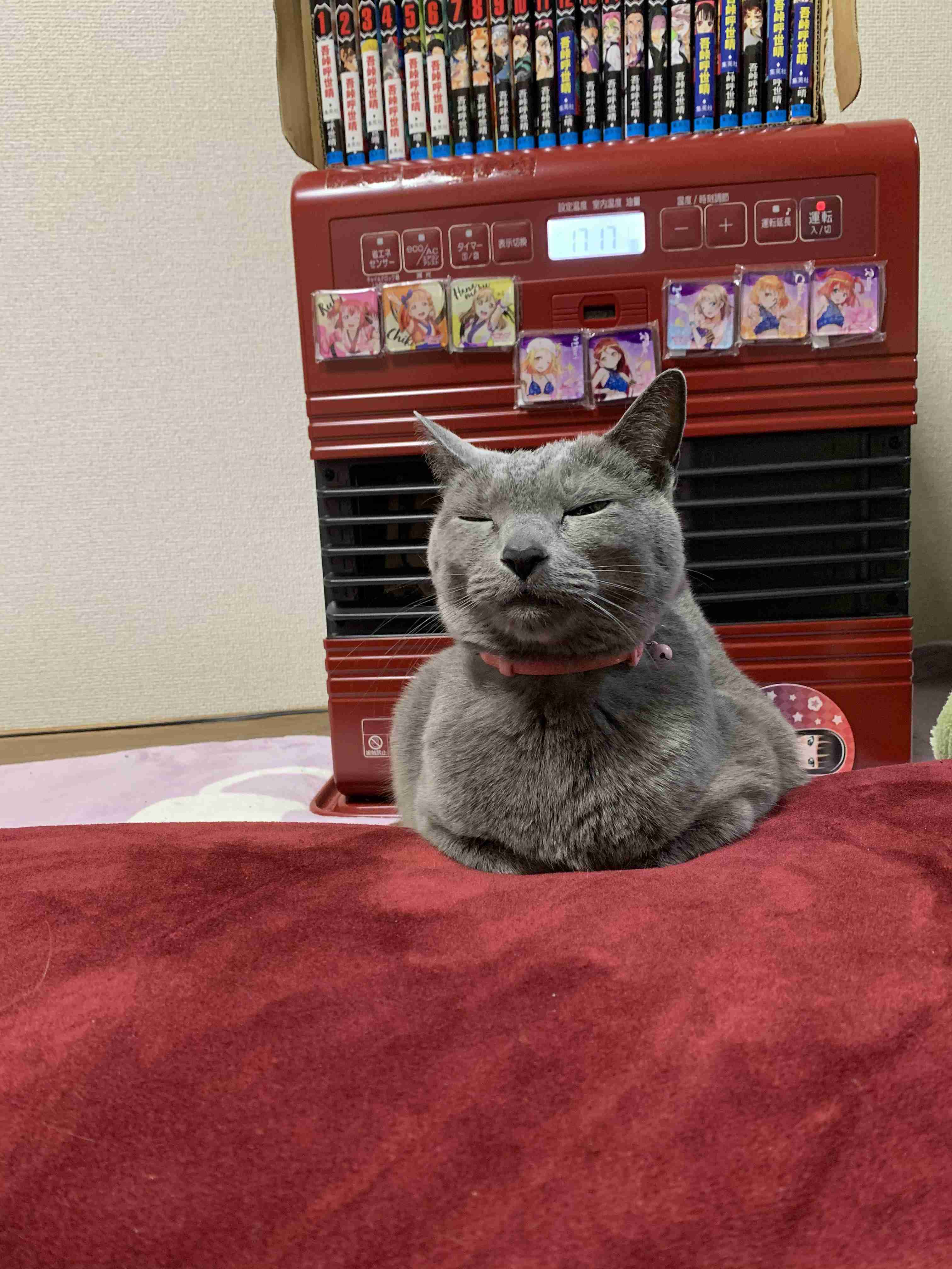 身バレしない程度にみんなのお家のペット(種類は何でもOK)が集まるトピ