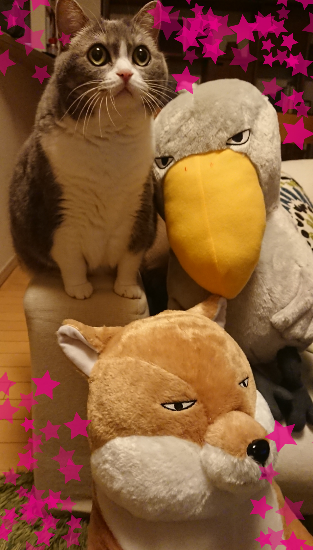 身バレしない程度にみんなのお家のペット(種類は何でもOK)が集まるトピ