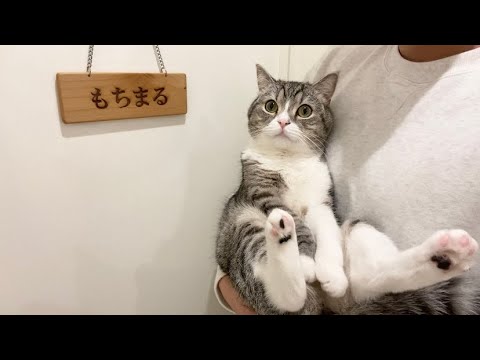 身バレしない程度にみんなのお家のペット(種類は何でもOK)が集まるトピ