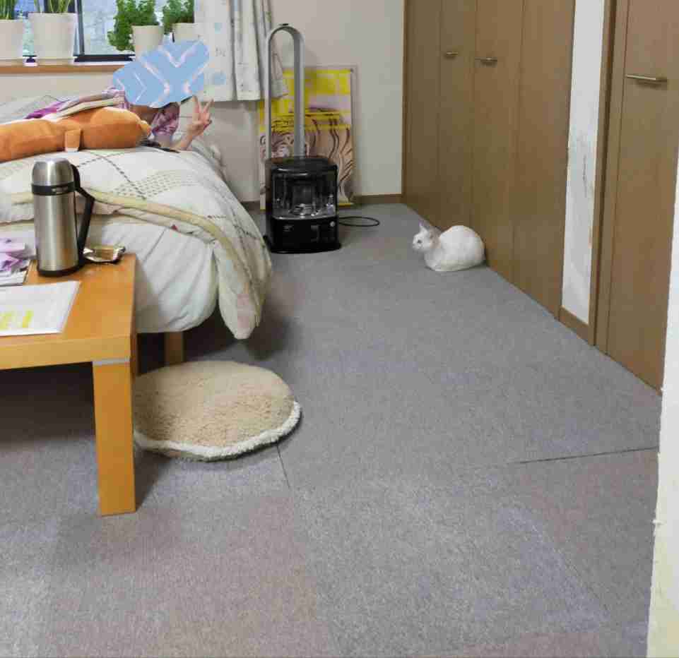 身バレしない程度にみんなのお家のペット(種類は何でもOK)が集まるトピ