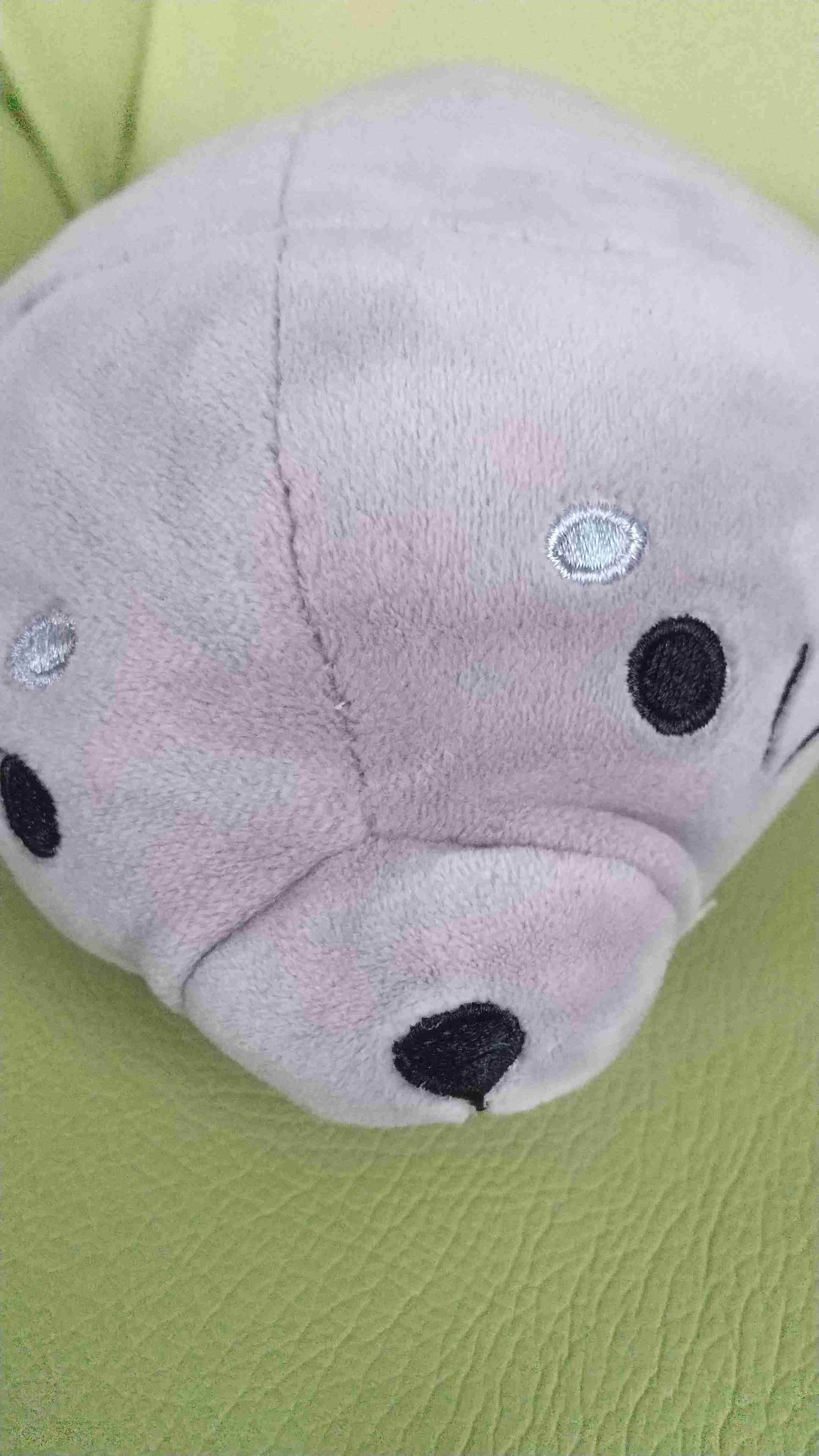 身バレしない程度にみんなのお家のペット(種類は何でもOK)が集まるトピ