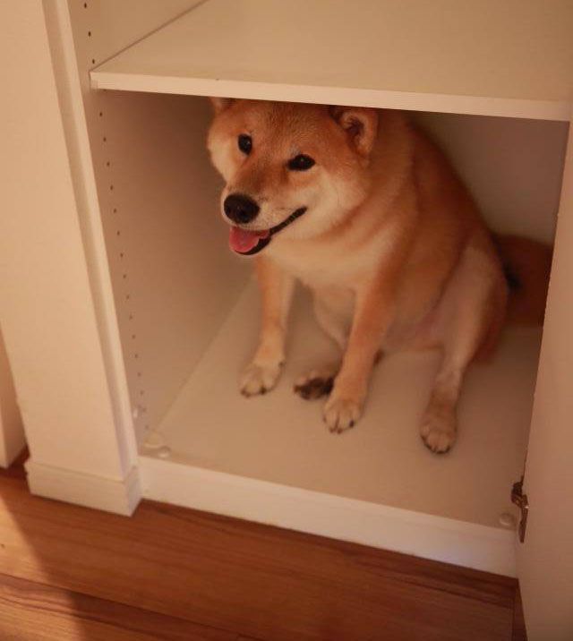 閉所恐怖症あるある
