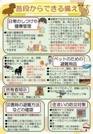 どうする?ペットと一緒の災害避難 今から備える5つのチェックポイント