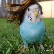 風が強い日の髪型