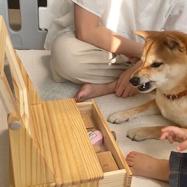 どんな全身鏡使っていますか？