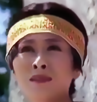 単独でトピが立たないけど、好きな女優さん。
