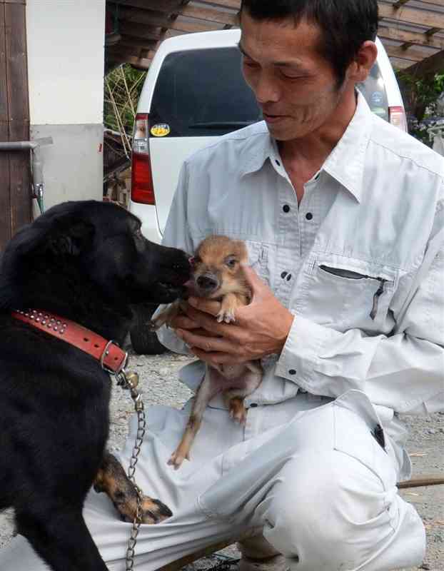 住宅の庭にイノシシ　親子が負傷　広島・福山市