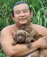 安定の筋肉番付。オーストラリアの消防士カレンダー2022年は今年も動物たちとの熱いコラボ