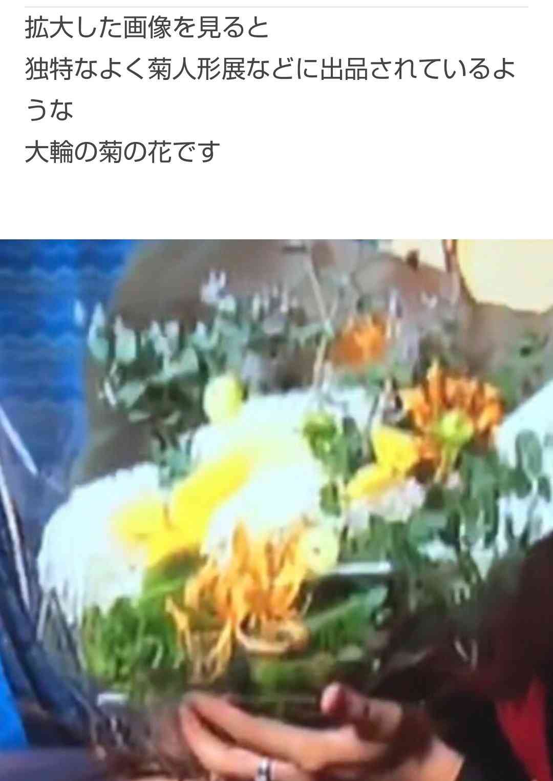 富岳4冠4連覇 スパコン世界ランク