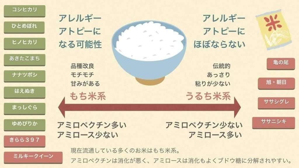 富岳4冠4連覇 スパコン世界ランク