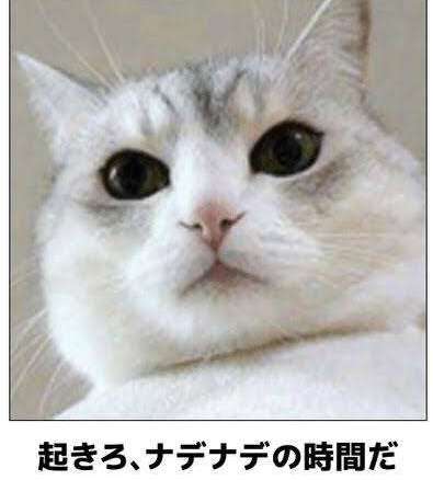 富岳4冠4連覇 スパコン世界ランク