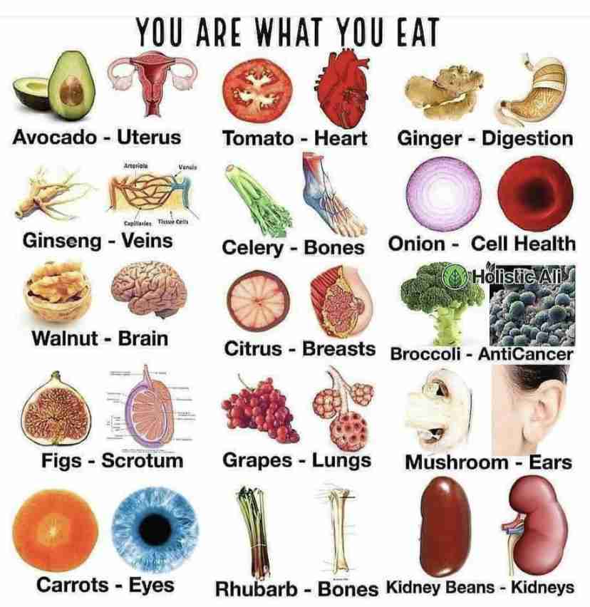富岳4冠4連覇 スパコン世界ランク