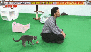 長瀬智也さんをもっと知りたい！！