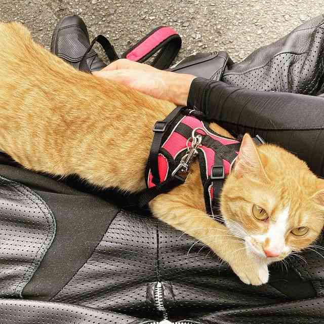 長瀬智也さんをもっと知りたい！！