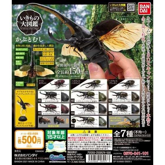 ガチャガチャや食玩バスボム玩具が大好き