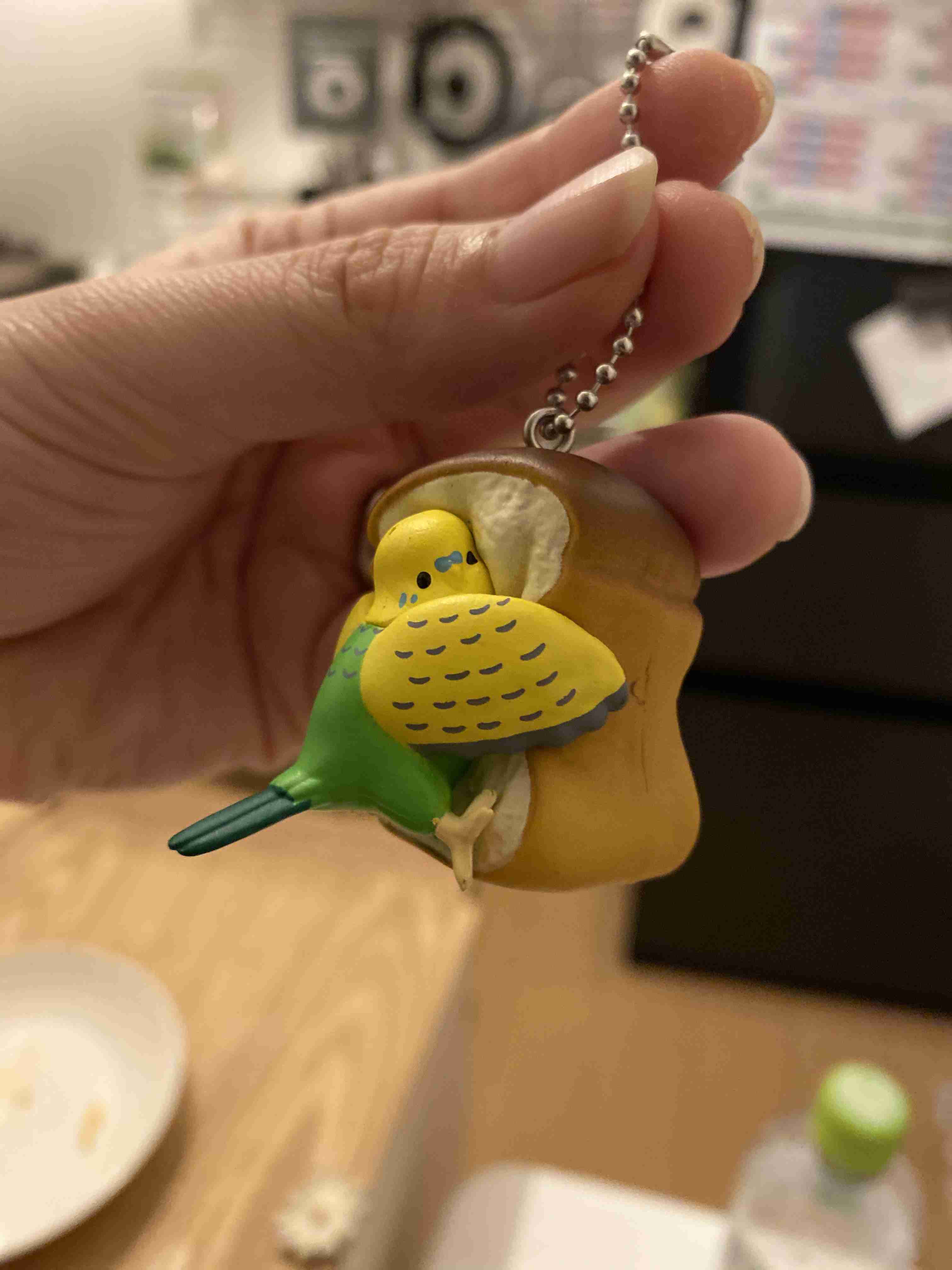 ガチャガチャや食玩バスボム玩具が大好き