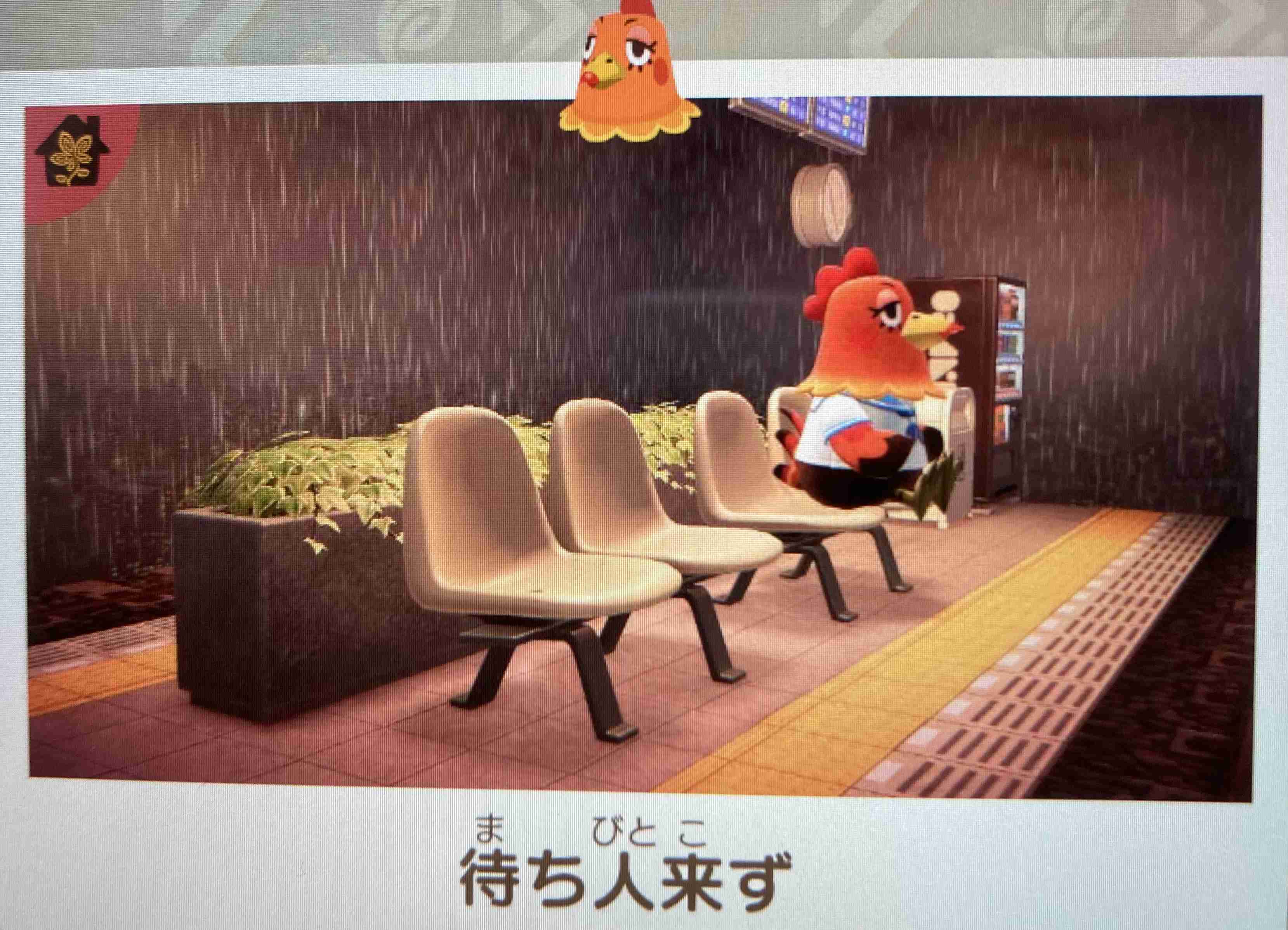 【あつ森】みなさんのハッピーホームパラダイス生活見せてください！