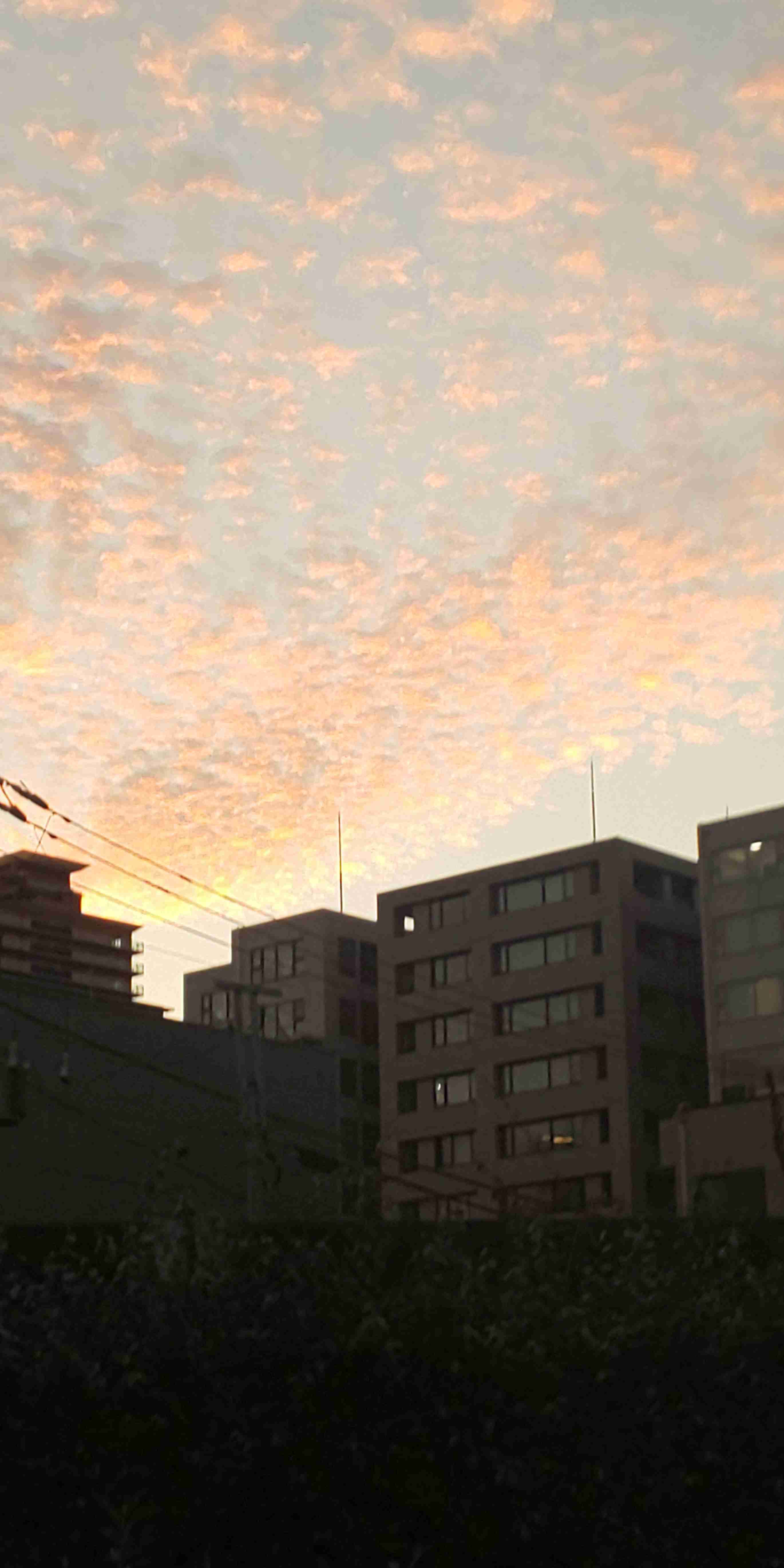 【夕焼け】日本各地の美しい夕日が見たい！【夕日】