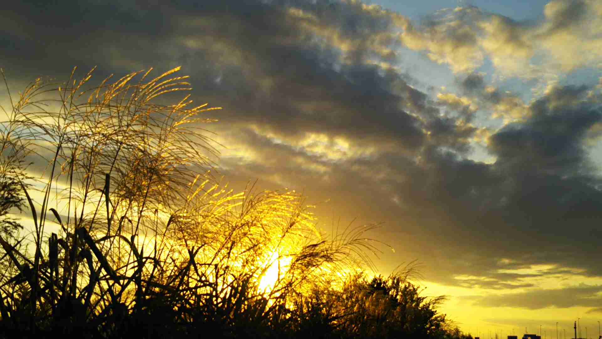 【夕焼け】日本各地の美しい夕日が見たい！【夕日】