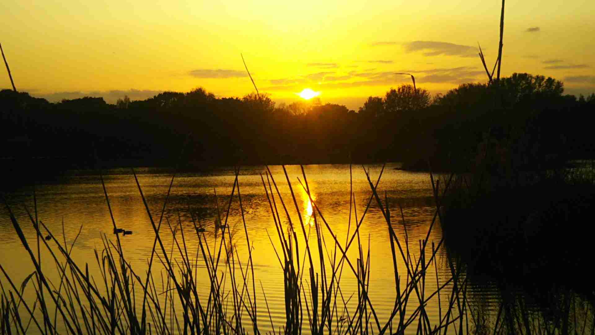【夕焼け】日本各地の美しい夕日が見たい！【夕日】