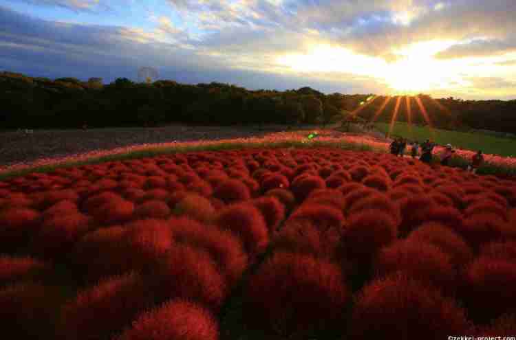 【夕焼け】日本各地の美しい夕日が見たい！【夕日】