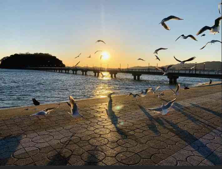 【夕焼け】日本各地の美しい夕日が見たい！【夕日】