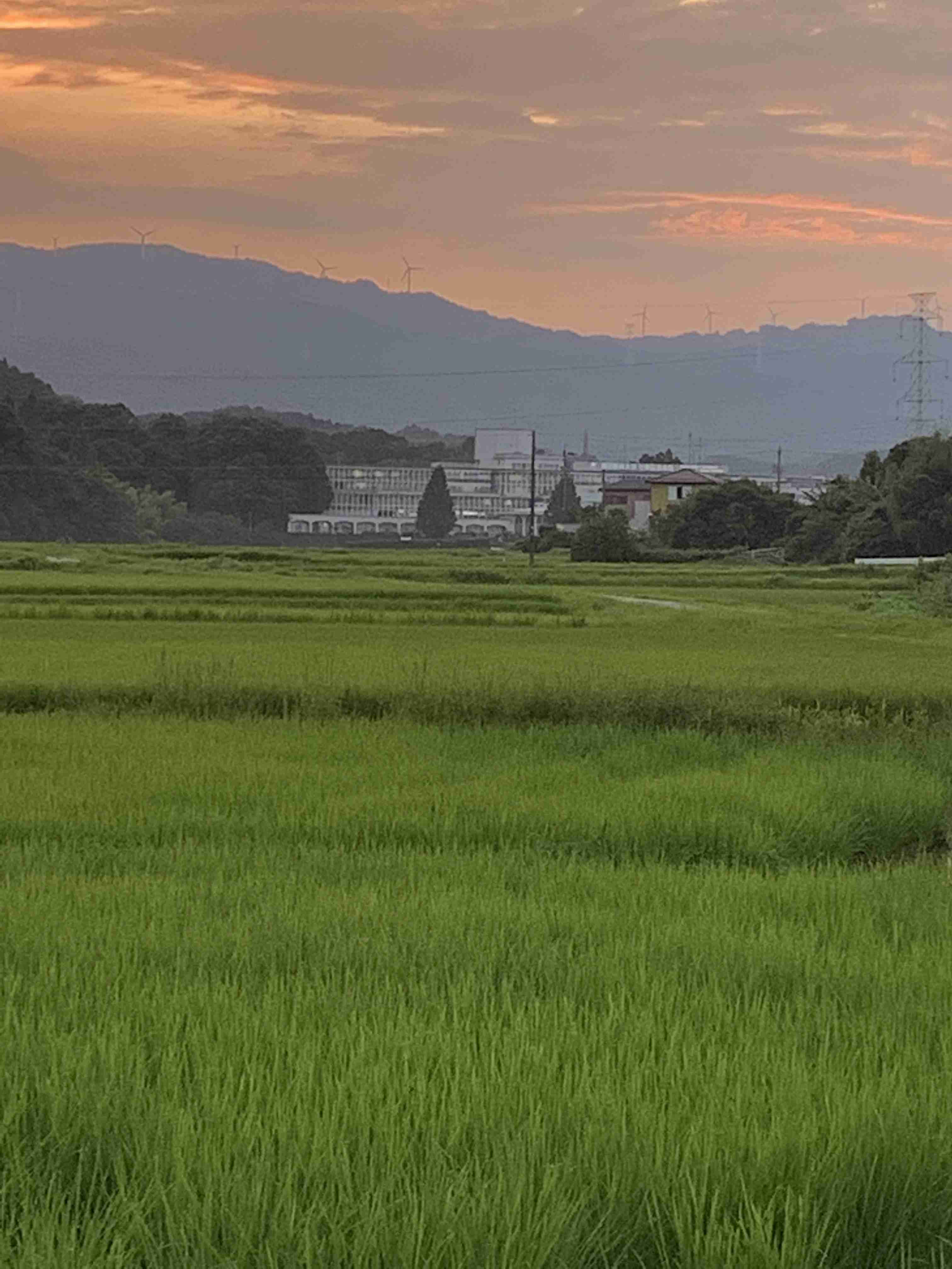 【夕焼け】日本各地の美しい夕日が見たい！【夕日】