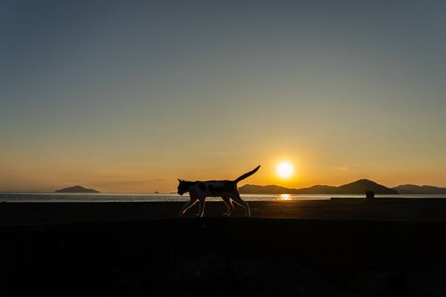 【夕焼け】日本各地の美しい夕日が見たい！【夕日】