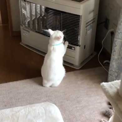 一人暮らしの暖房