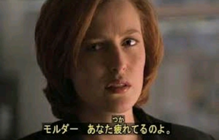 未確認生物らしきものを見たことある人いますか？